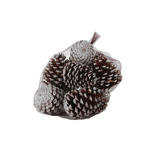 White Tipped Maritima Cones (12pcs) (1/6) 