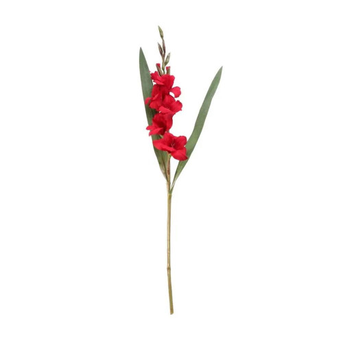 Gladiolus Spray Red 84Cm