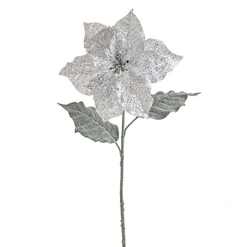 Winter White Poinsettia Stem 69Cm