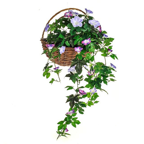 Wall Basket Morning Glory 70X52cm