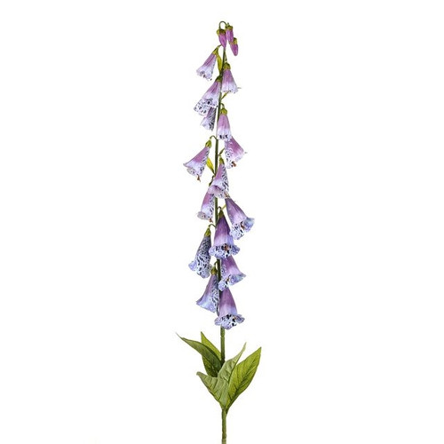 Foxglove Purple 107Cm