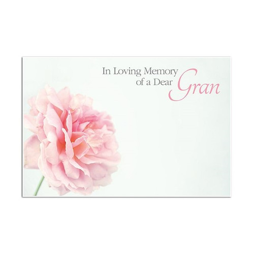 Oasis Sc Ilm Dear Gran Pink Dahlia