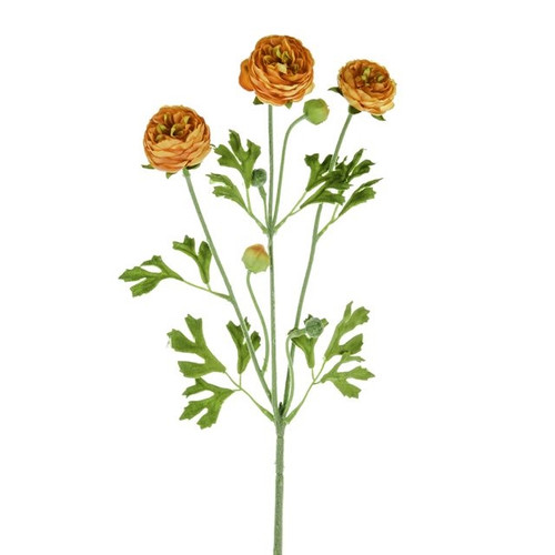 Ranunculus Spray Orange 65Cm