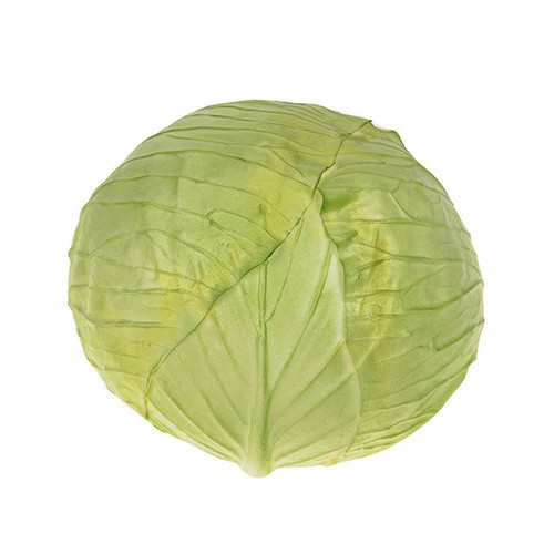 VEG Cabbage Green 18Cm