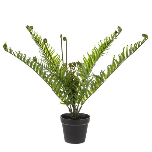 Potted Fern 53Cm