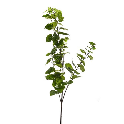 Geranium Leaf Brnch Green