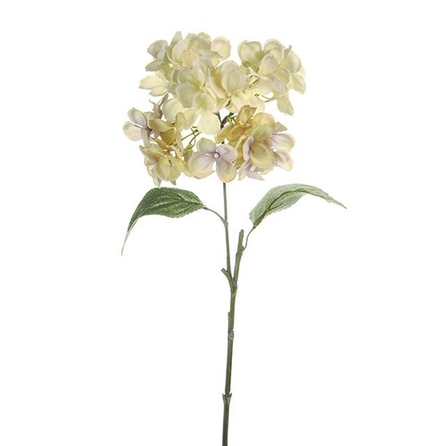 MIA Hydrangea Cream 61Cm