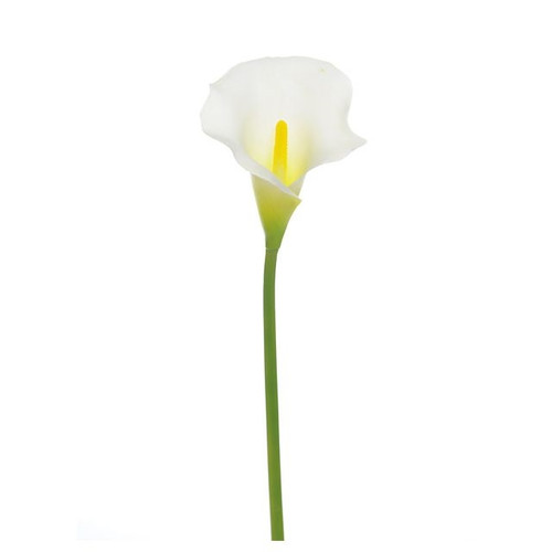 Calla Lily Cream Med Head 66Cm