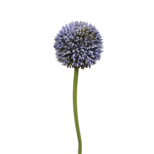 Hedgerow Allium Blue 55Cm