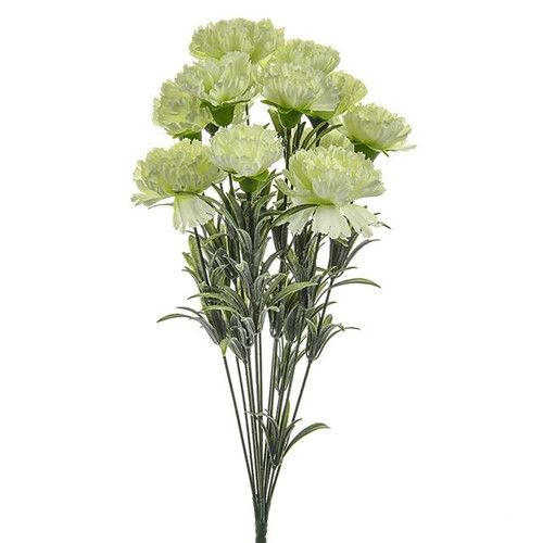 Flora Carnation Bush Grn 48Cm