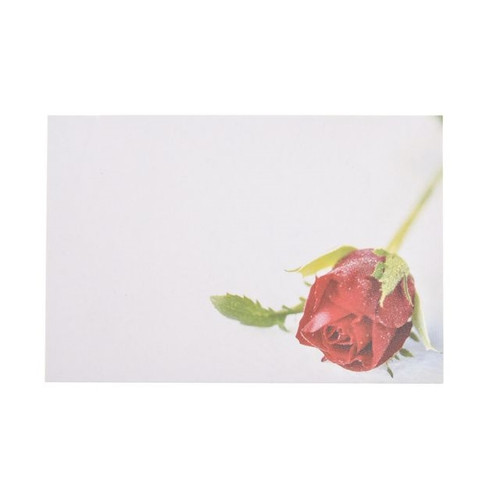 Oasis Card Sgl Red Rosebud X50