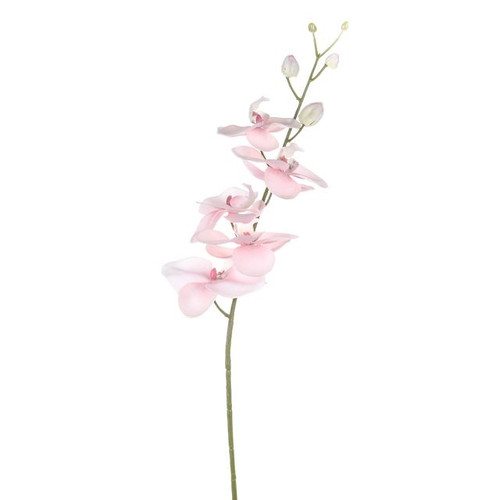 Dawn Orchid Pink 92Cm