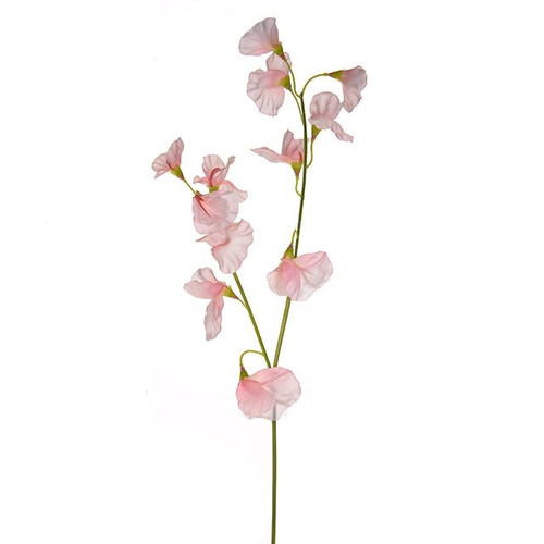 Sweetpea Spray Pale Pink