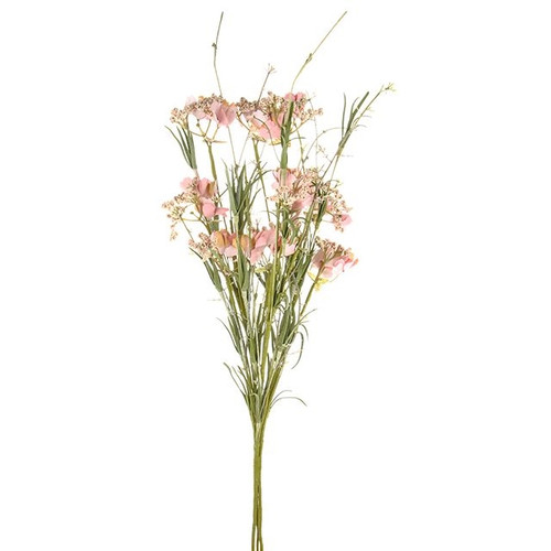 English Heath Spring Flowers Pink