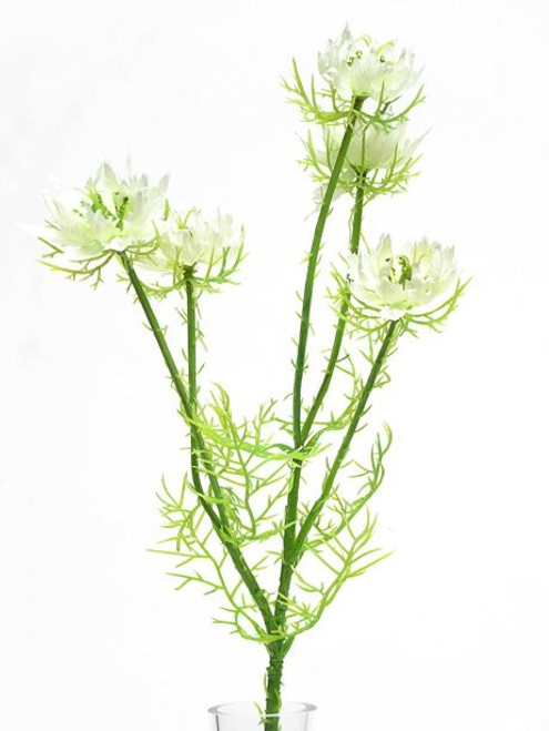 Nigella Spray Cream 57Cm