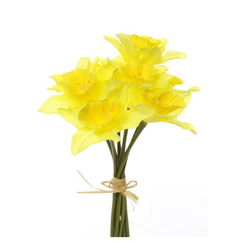 Daffodil Bundle Traditional