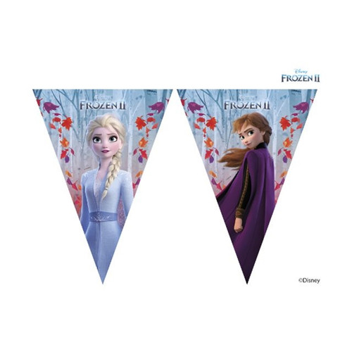 Frozen Party Bunting