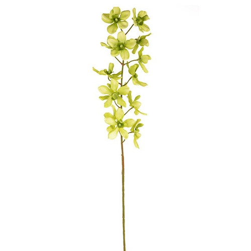 Fiesta Orchid Green 72Cm
