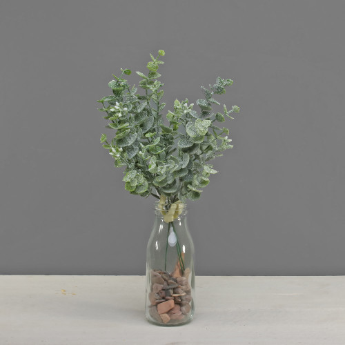 Eucalyptus Bunch With Frost