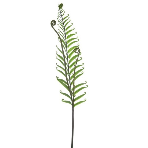 Fern Leaf 86Cm