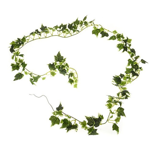 Ivy Garland Variegated 180Cm