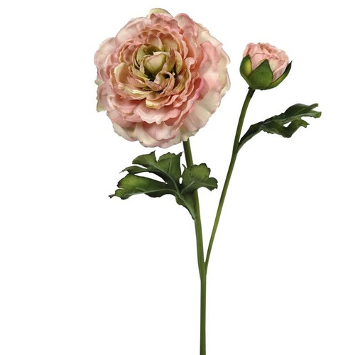 Vintage Ranunculus Peach 48Cm