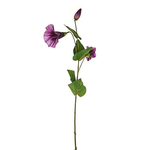 Morning Glory Spray Purple 72Cm