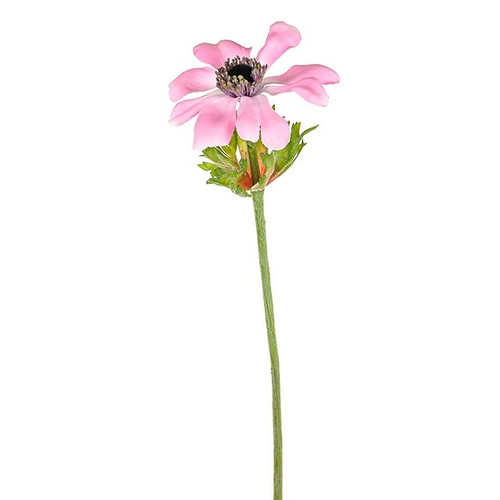 Anemone Stem Pink 49Cm