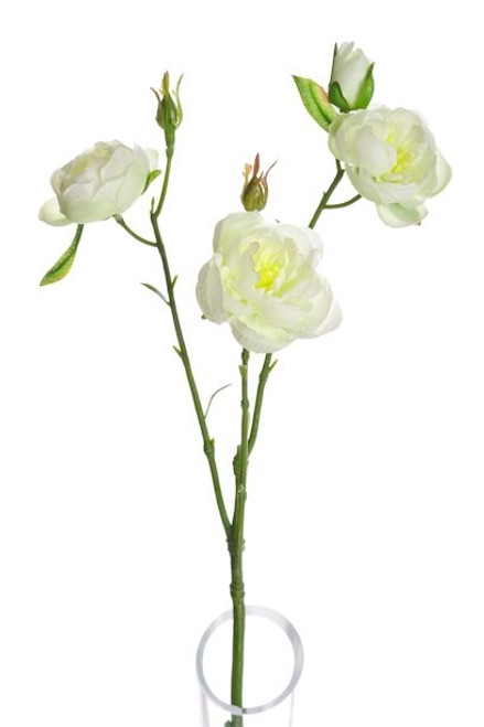 Lydia Ranunculus Spray Cream