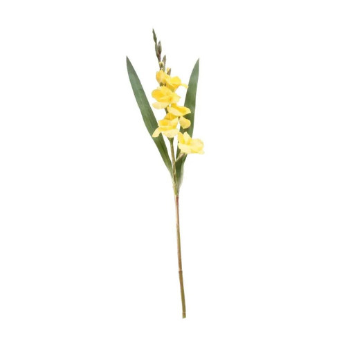 Gladiolus Spray Yellow 84Cm