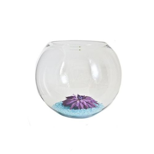 Oasis Glass Fishbowl 30X24cm