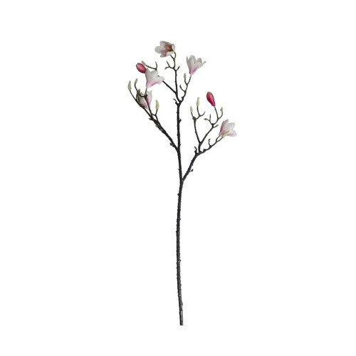 Magnolia Branch Blush Pink