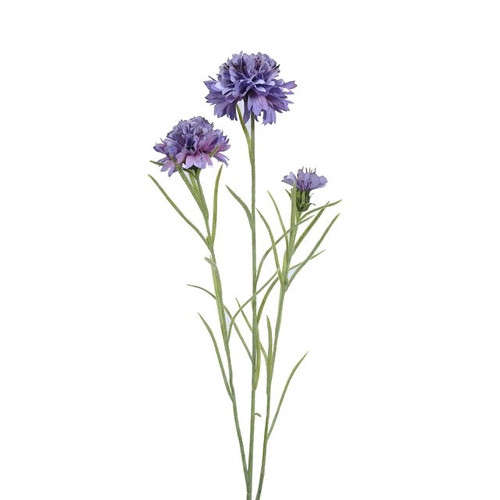 Meadow Cornflower Purple 56Cm
