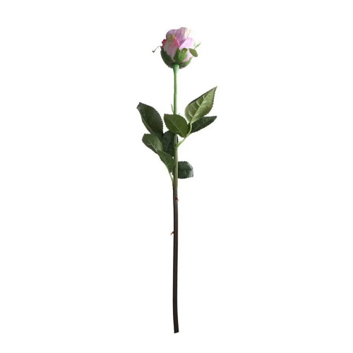 Oxford Rose Bud Lavender