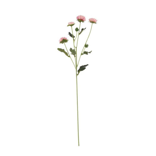 Buckingham Spray Chyrsanthemum Pink