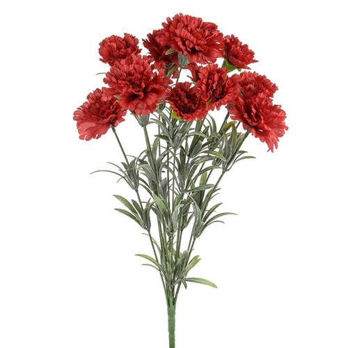 Flora Carnation Bush Red