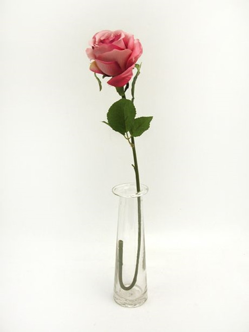 Prize Rose Med Pink