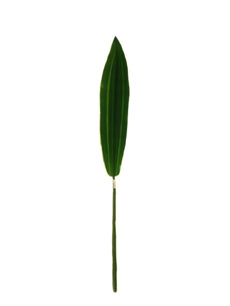 Artificial Yucca Leaf