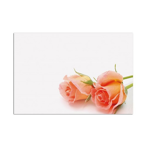 Oasis Sc Blank Peach Roses X50