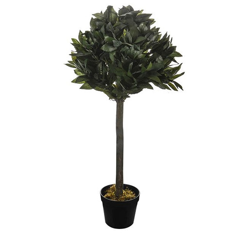 Potted Bay Tree 92Cm