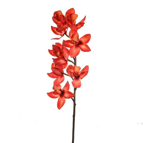 Anna Cymbidium Orchid Coral 88Cm