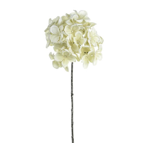 Harmony Hydrangea Ivory 50Cm