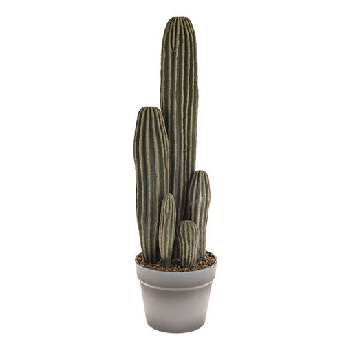 Potted Cactus 23 Inch