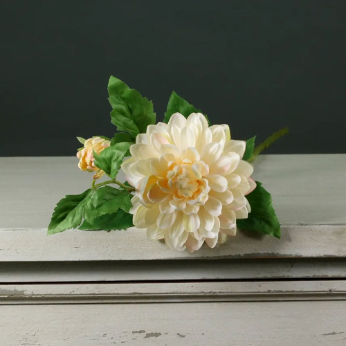 Tintagel Spray  Dahlia Cream