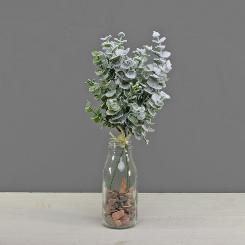 Eucalyptus Bunch With Snow
