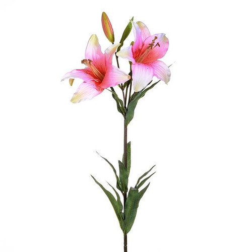 Candice Tiger Lily Pink 77Cm