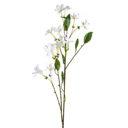 Stephanotis Spray White