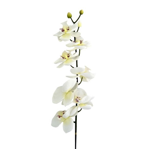 Orchid Stem White 90Cm