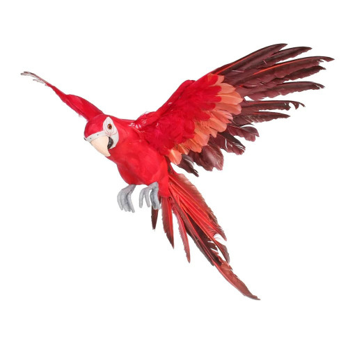 Macaw Bird Flying Red Small