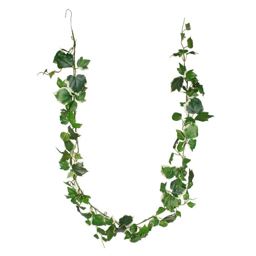 French Ivy Garland - Variegated Leaves